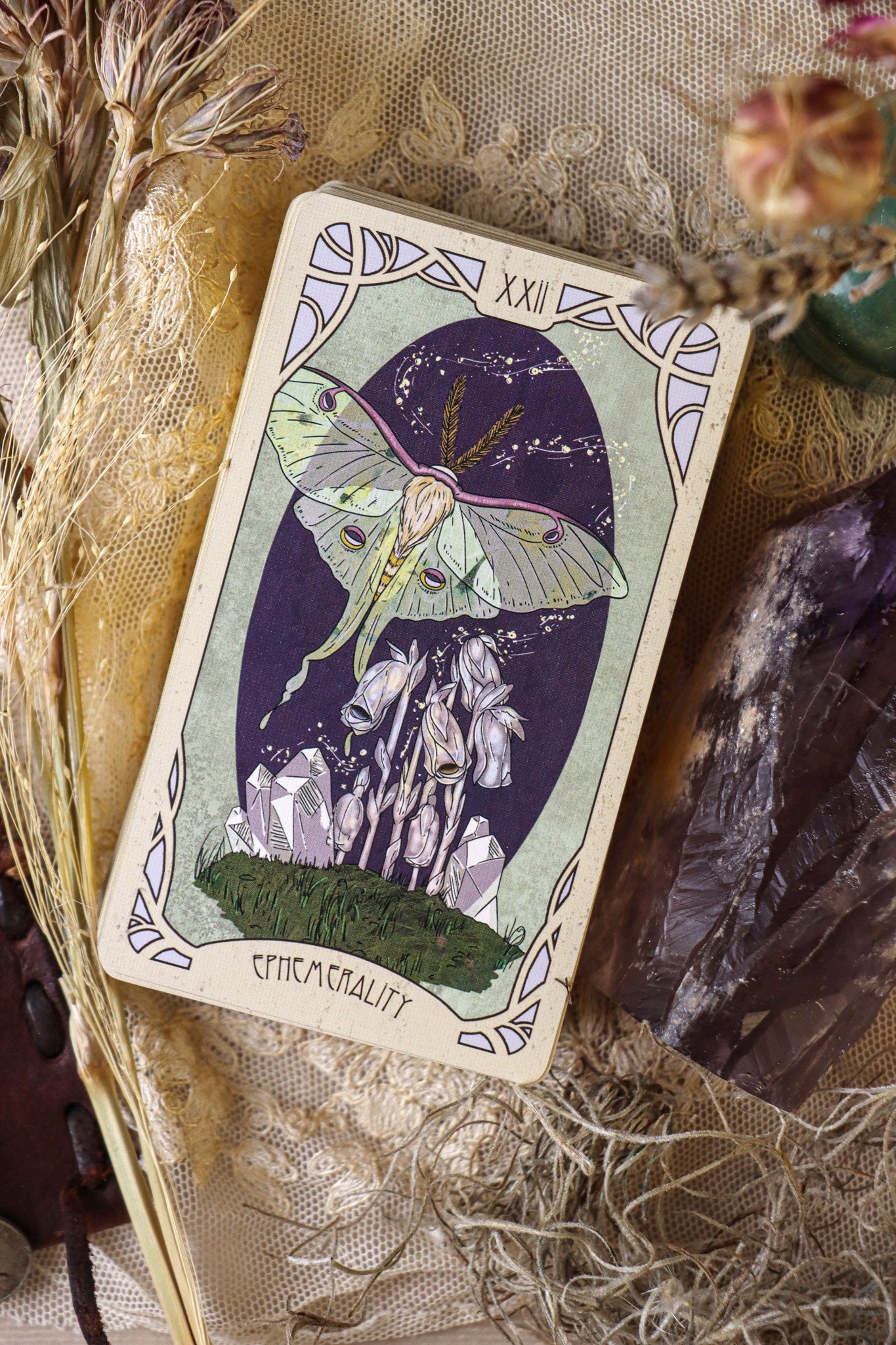 Forager's Daughter Tarot: Afterlight Edition Deck & Printed Guidebook, Deluxe Divination Set
