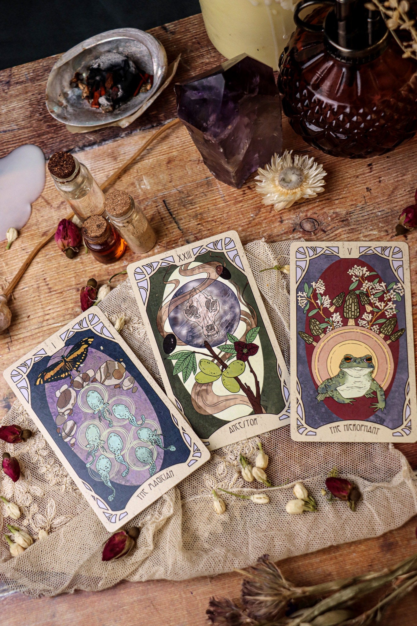 Forager's Daughter Tarot: Afterlight Edition Deck & Printed Guidebook, Deluxe Divination Set